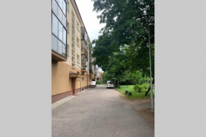 1 Kambario butas Klaipėdos centrinėje gatvėje